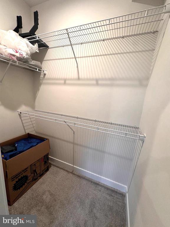 19809 Habitat Ter in Montgomery Village, MD - Building Photo - Building Photo