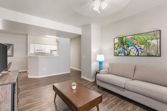 The Homes of Mountain Creek