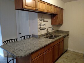 222 Red Maple Pl in Brandon, FL - Foto de edificio - Building Photo