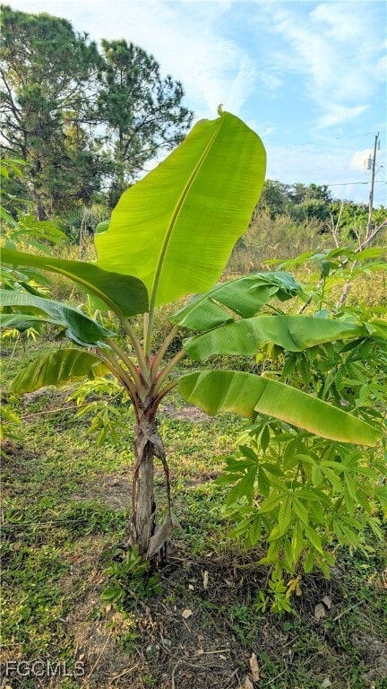 property at 2506 39th St W