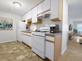 Pine Walk in Lowell, MA - Building Photo