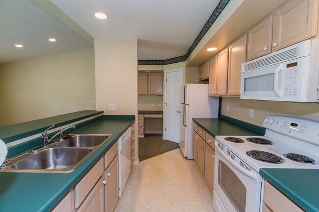 Whitetail Run in Plover, WI - Foto de edificio - Building Photo