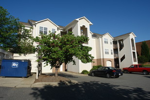 Village of Moss Creek Apartments