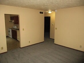 1004 Charlotte Dr in Normal, IL - Building Photo - Building Photo