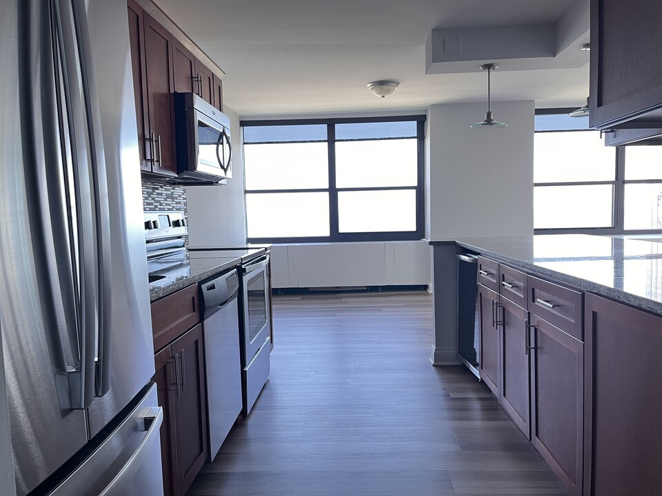 1234 S Michigan Ave, Unit 1003 in Chicago, IL - Building Photo