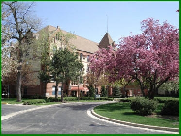 The Arborwood at Altenheim in Forest Park, IL - Foto de edificio