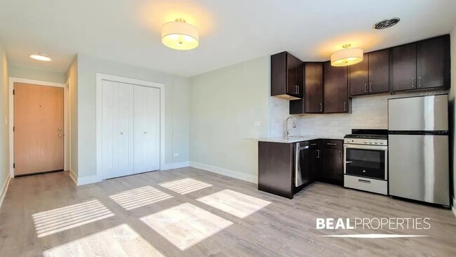 454 W Barry Ave, Unit B in Chicago, IL - Building Photo - Building Photo