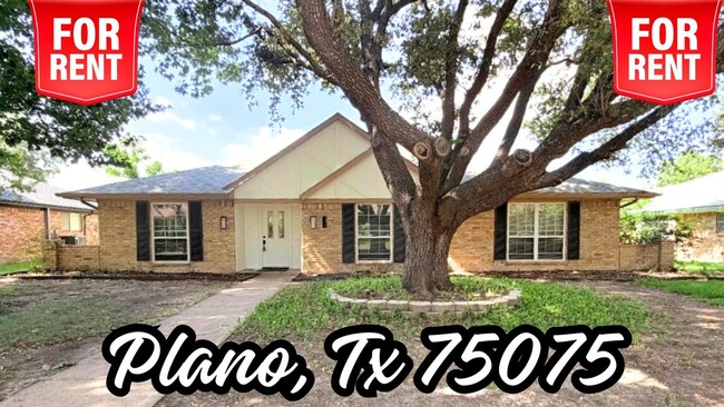 property at 3433 Lynbrook Dr