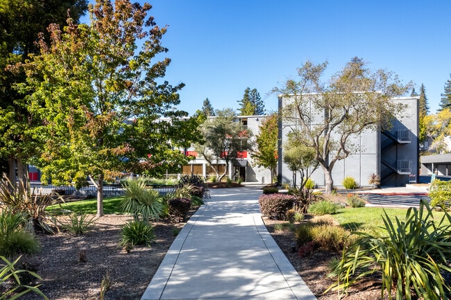 University Village in Hayward, CA - Foto de edificio - Building Photo