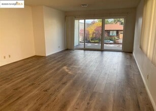708 Solano Ave in Albany, CA - Building Photo - Building Photo