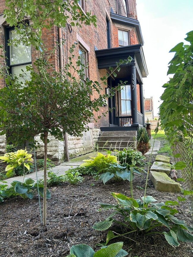 property at 1337 Scott St