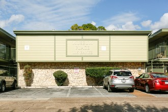 Museum Place in Houston, TX - Building Photo - Building Photo