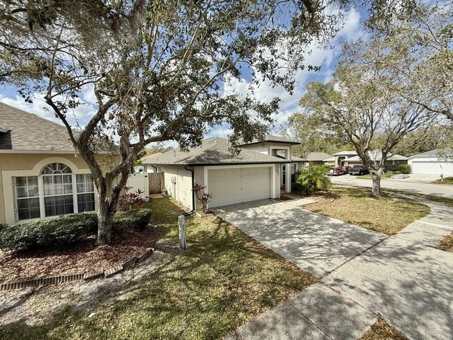 27519 Sky Lake Cir in Wesley Chapel, FL - Building Photo - Building Photo