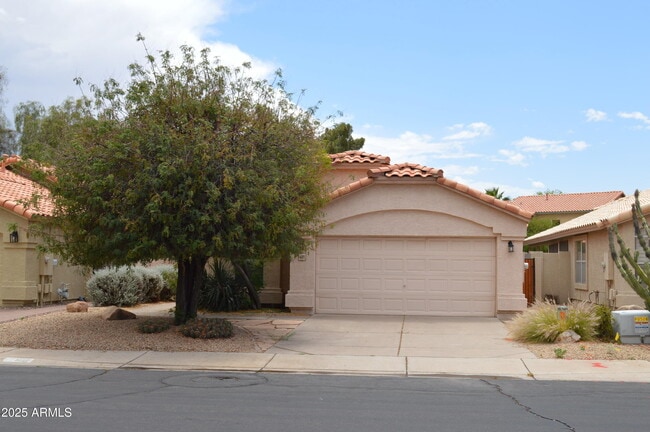 1199 W Jeanine Dr in Tempe, AZ - Foto de edificio - Building Photo