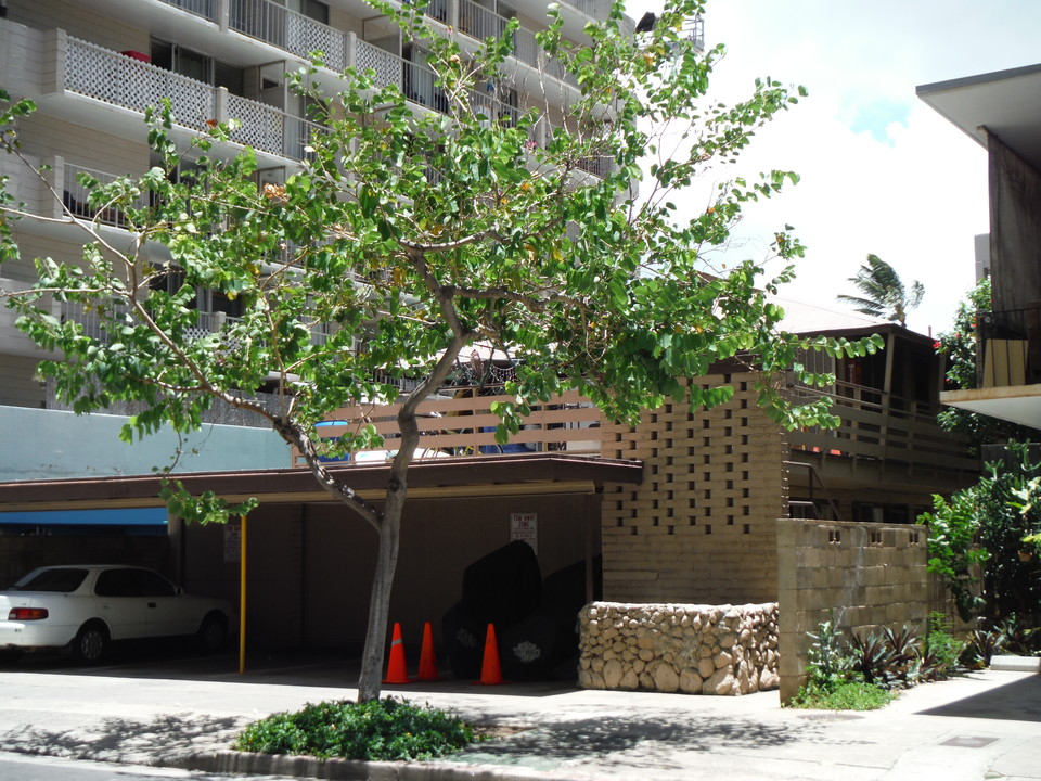 2208 Aloha Dr in Honolulu, HI - Building Photo