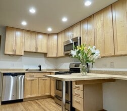 5145 Washington St in Downers Grove, IL - Building Photo - Building Photo