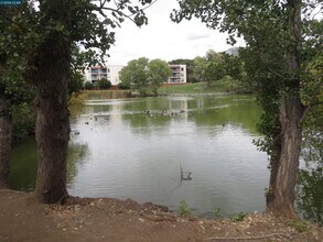 1591 Ellis St in Concord, CA - Building Photo - Building Photo