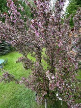 439 S Tyler Ave in Pinedale, WY - Building Photo - Building Photo