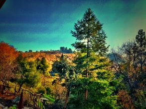 555 La Vista Rd in Walnut Creek, CA - Foto de edificio - Building Photo