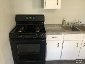 829 Flat St NE in Grand Rapids, MI - Building Photo - Building Photo