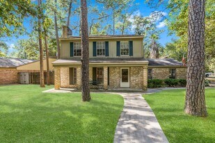 2015 E Lacey Oak Cir in Spring, TX - Building Photo
