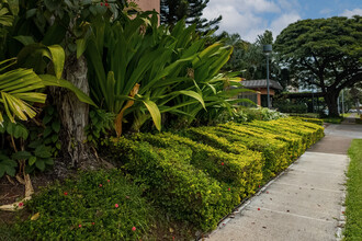 Plaza Landmark in Honolulu, HI - Building Photo - Building Photo