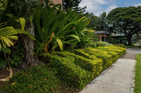 Plaza Landmark in Honolulu, HI - Foto de edificio - Building Photo