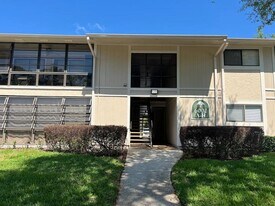 6002 Laketree Ln in Temple Terrace, FL - Building Photo