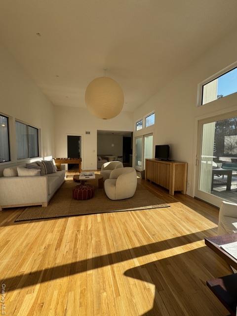 14 Park Cir in Quogue, NY - Building Photo - Building Photo