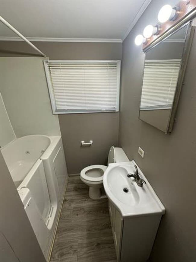 1102 N Lincoln Ave in Urbana, IL - Building Photo - Building Photo