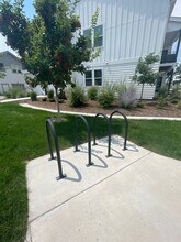 533 Vicot Wy in Fort Collins, CO - Foto de edificio - Building Photo