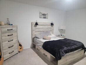 335 Riverwood Village Ln in Sealy, TX - Building Photo - Building Photo