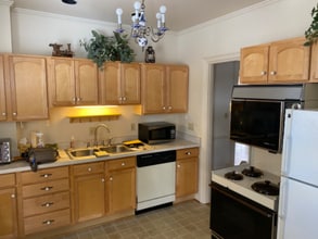 1060 Park Ave in Rochester, NY - Building Photo - Building Photo