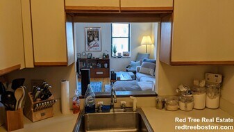 29 Brainerd Rd, Unit 203 in Boston, MA - Building Photo