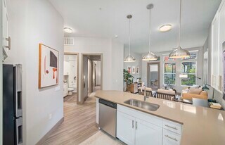 MAA River North in Denver, CO - Building Photo