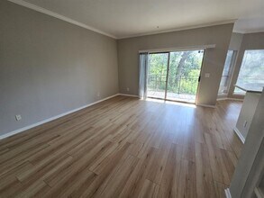 6000-4 Shepherd Mountain Cove in Austin, TX - Building Photo - Building Photo