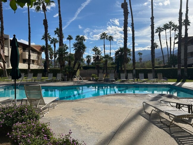 437 S Calle El Segundo in Palm Springs, CA - Building Photo - Building Photo