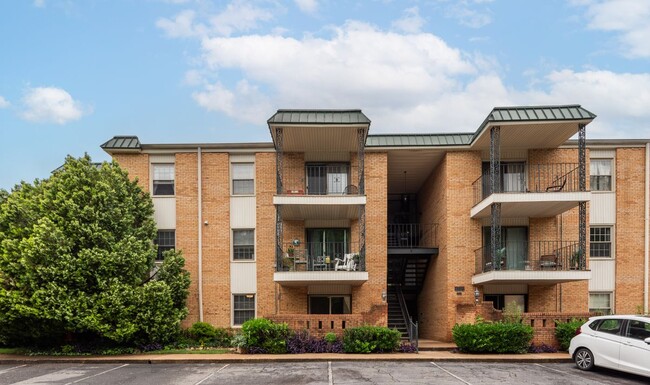 4739 Hedgemore Dr in Charlotte, NC - Building Photo - Building Photo