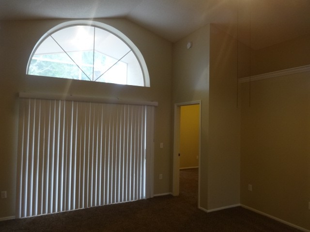 201 Lancer Oak Dr in Apopka, FL - Foto de edificio - Building Photo