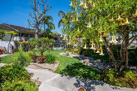 Beach Creek Resort Apartments in Garden Grove, CA - Foto de edificio - Building Photo