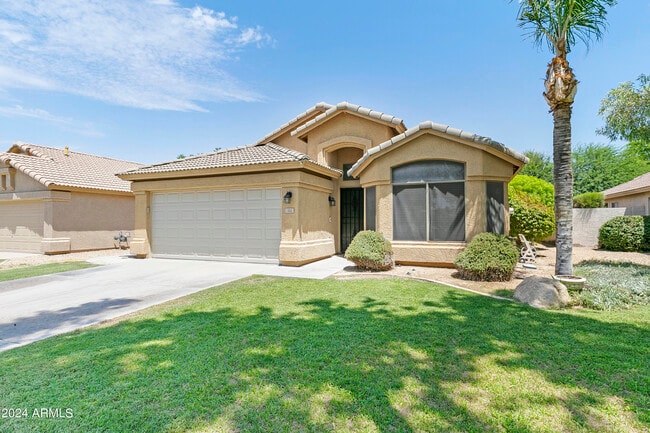 1462 W Blue Ridge Way in Chandler, AZ - Building Photo - Building Photo