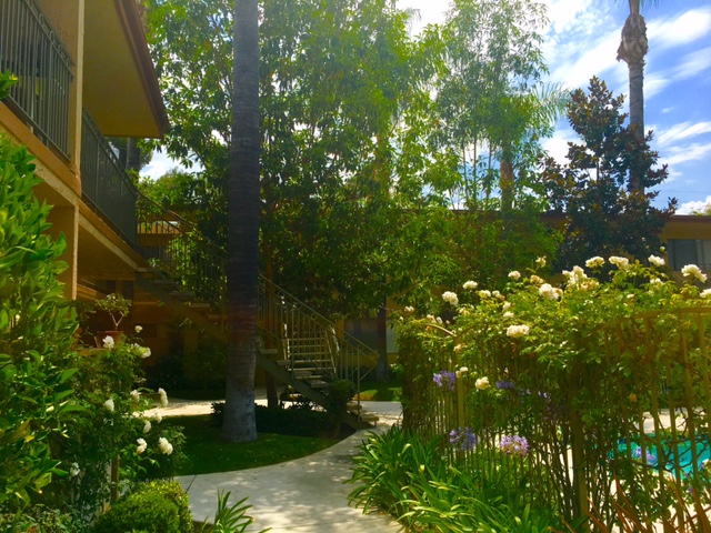 Palm Court in La Habra, CA - Foto de edificio