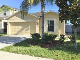 1119 Seminole Sky Dr in Ruskin, FL - Building Photo