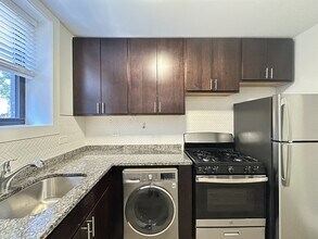1133 Maple Ave in Evanston, IL - Building Photo - Building Photo