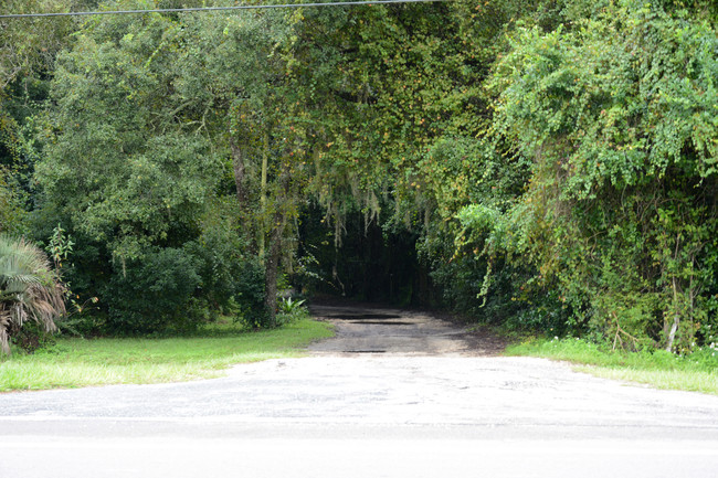 20331 Five Palms Ln in Spring Hill, FL - Foto de edificio - Building Photo