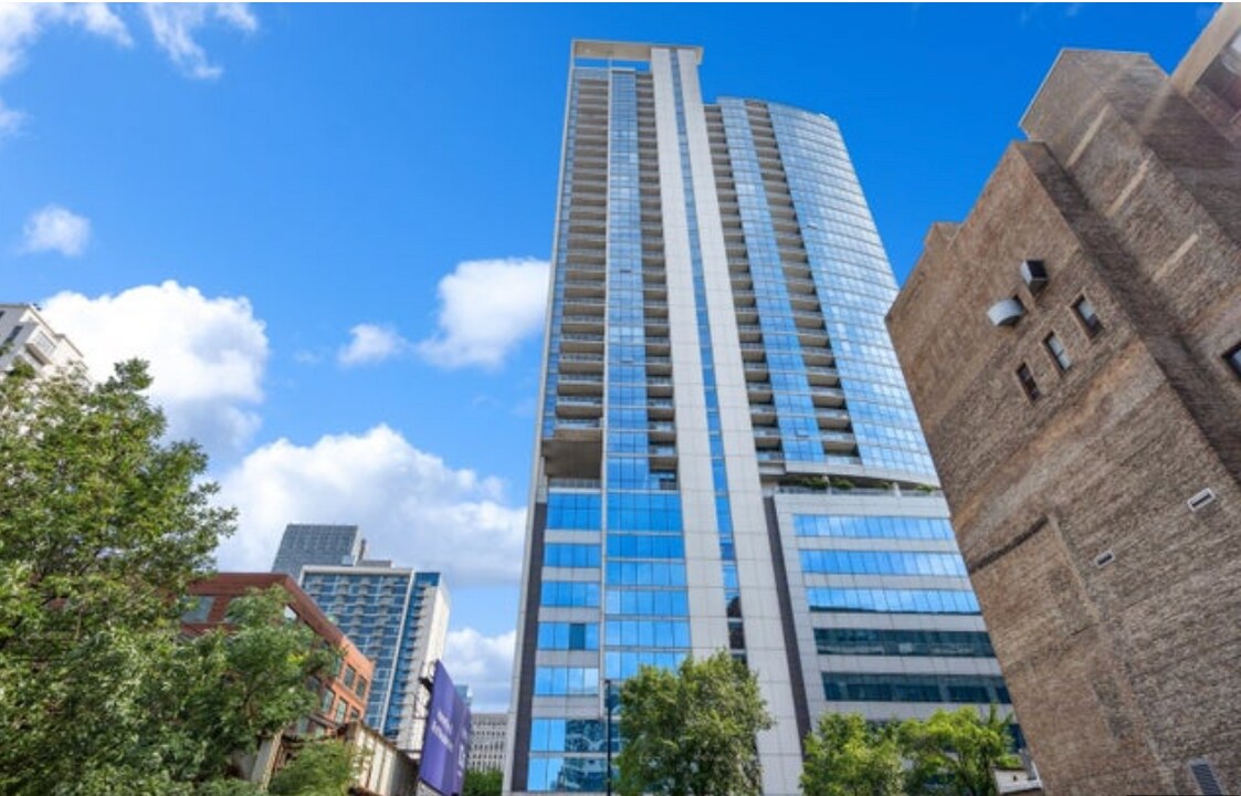 303 W Ohio St, Unit Silver Tower in Chicago, IL - Foto de edificio