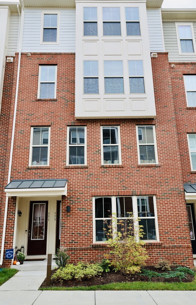 773 Mount Airy Ter NE in Leesburg, VA - Building Photo - Building Photo