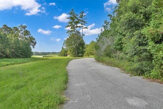 116 Ashe Juniper Wy in Magnolia, TX - Building Photo - Building Photo