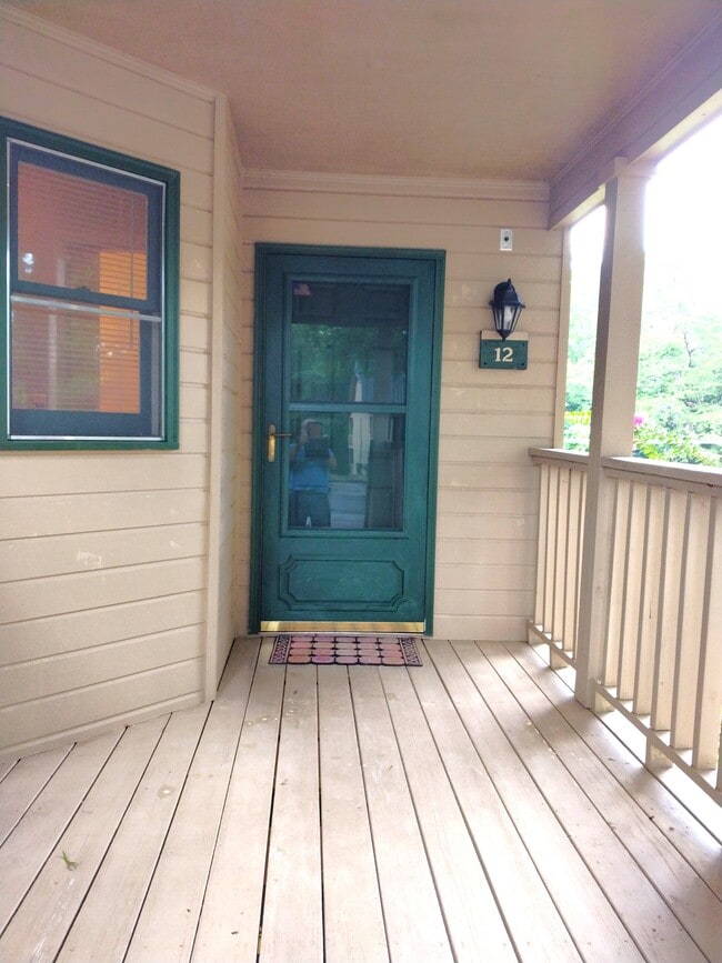 160 Whitney Blvd in Lake Lure, NC - Building Photo - Building Photo