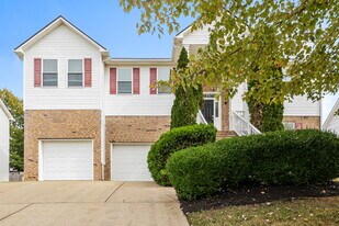 2712 Mollys Ct in Spring Hill, TN - Building Photo